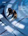 Internal Audit Services brochure cover