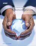Global Transfer Pricing Review 2009